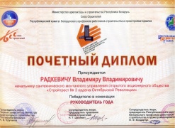 Диплом победителя в номинации «Руководитель года - 2013»