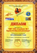 Диплом победителя в номинации «Организация года. Субподрядные организации - 2009»