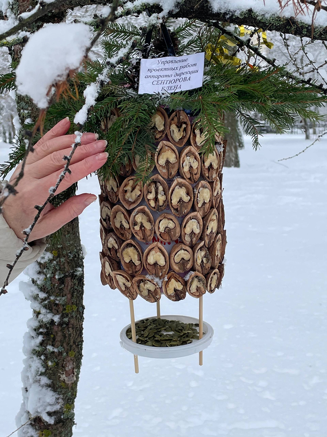 От плотника до архитектора: как профессионалы стройтреста № 3 соревновались в добром деле, конкурсе кормушек для птиц 