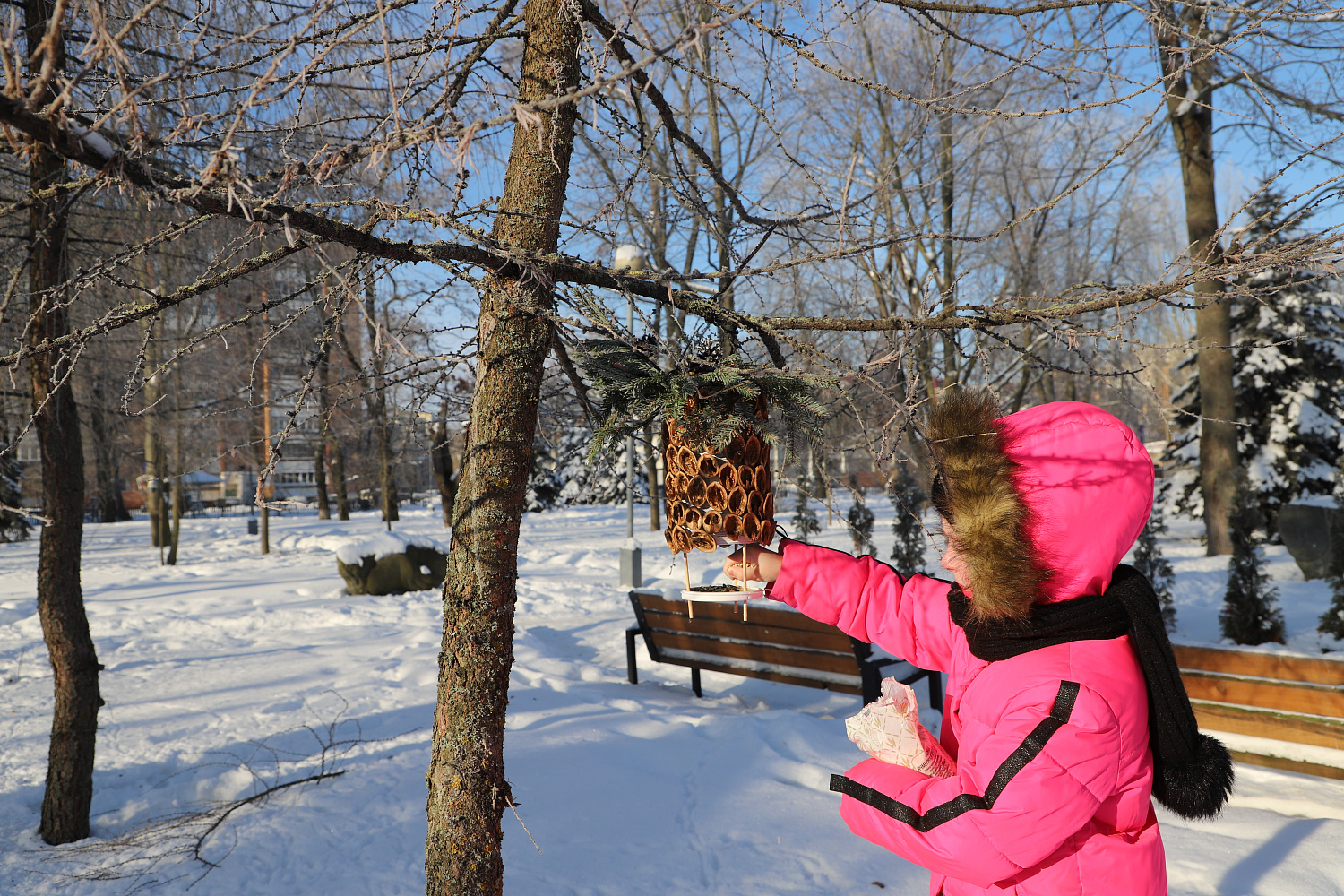 От плотника до архитектора: как профессионалы стройтреста № 3 соревновались в добром деле, конкурсе кормушек для птиц 