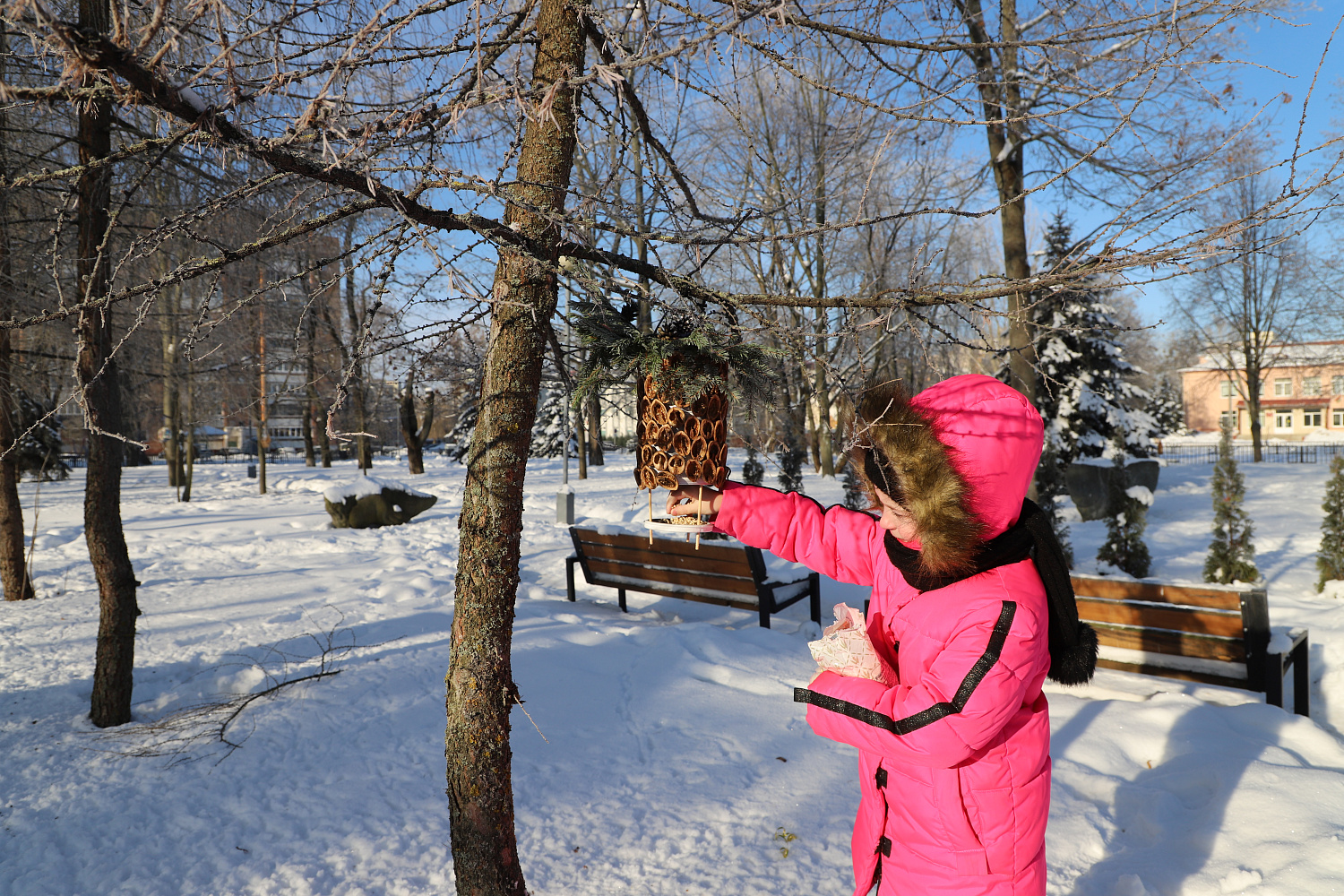 От плотника до архитектора: как профессионалы стройтреста № 3 соревновались в добром деле, конкурсе кормушек для птиц 