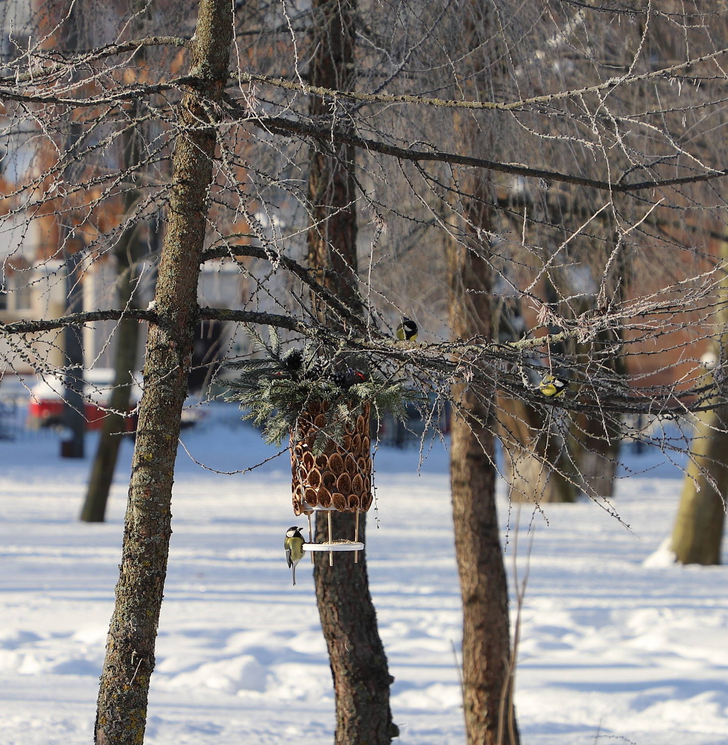 От плотника до архитектора: как профессионалы стройтреста № 3 соревновались в добром деле, конкурсе кормушек для птиц 